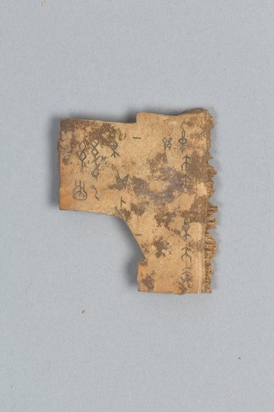 Fragment eines Wahrsageknochens (Schale) von Shang Dynasty Chinese School