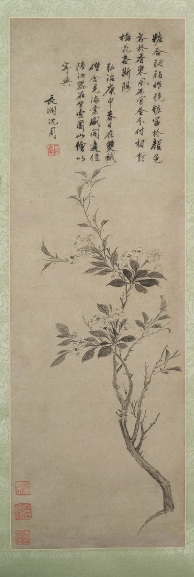 Blühender Zierapfel, 1500 von Shen Zhou