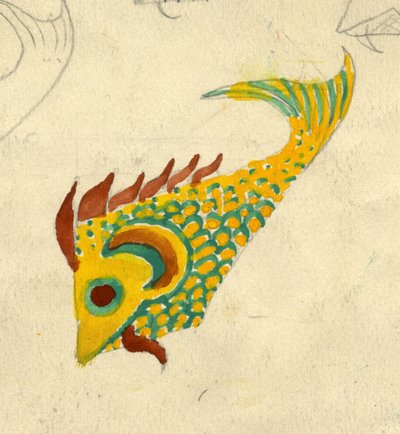 Fischillustration (ca. 1950) von Shirley Markham