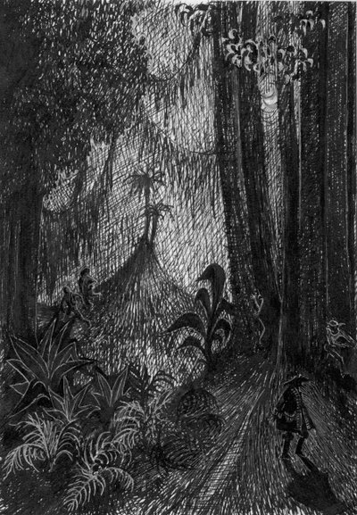 Pirat im Regenwald von Shirley Markham