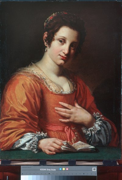 Porträt einer jungen Dame von Simon Vouet