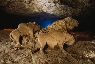 Die Ton-Bisons von Le Tuc d’Audoubert von Sisse Brimberg