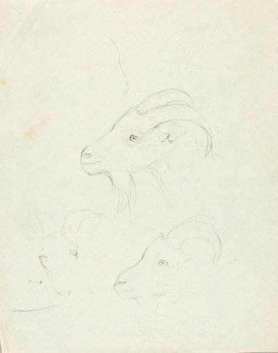 Ziegen von Solon H. Borglum