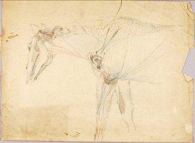 Pferdestudie von Solon H. Borglum
