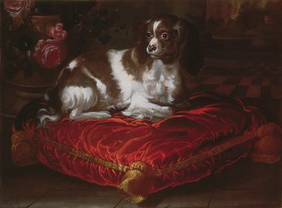 Spaniel auf einem Kissen von Spanish School