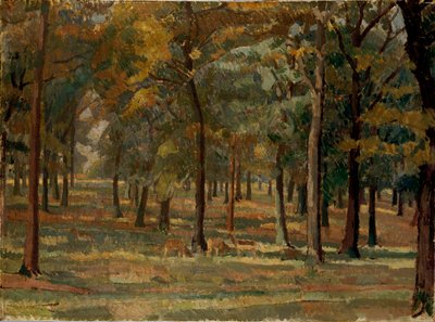 Richmond Park, 1914 von Spencer Gore