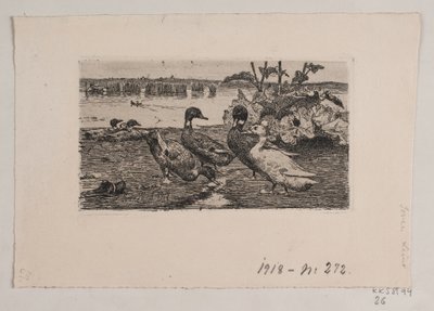 Enten von Søren Lund