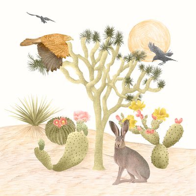 Mojave-Wüste von Stacy Hsu