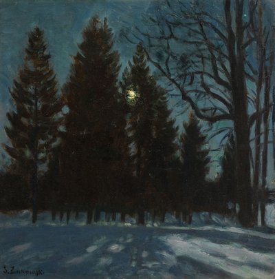 Winternacht, 1931 von Stanislav Julianovic Zukovskij