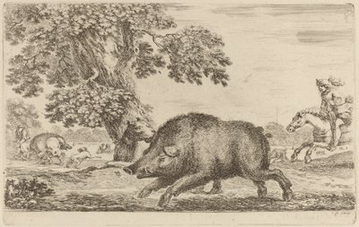 Wildschwein läuft nach links von Stefano della Bella