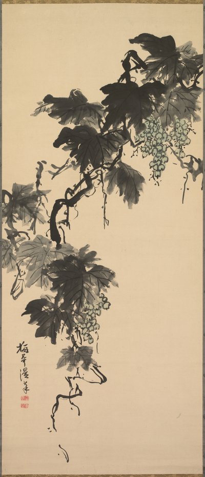 Trauben von Sugai Baikan