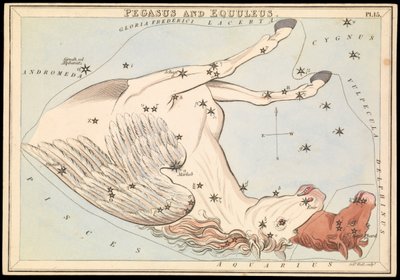 Pegasus und Equuleus, ca. 1825 von Sydney Hall