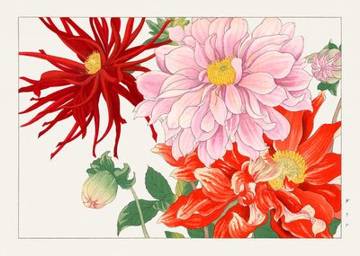 Dahlienblume aus "Seiyou Sokazufu" von Tanigami Konan
