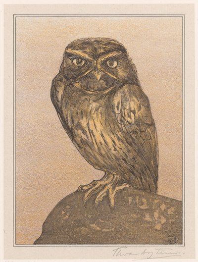 Steinkauz auf Felsen von Theo van Hoytema (signed by artist)