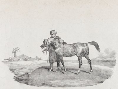 Ein arabisches Pferd von Theodore Gericault