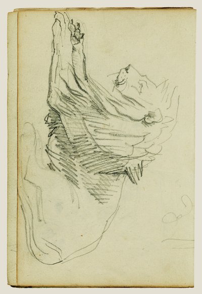 Sitzender Löwe von Theodore Gericault