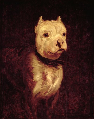 Unbekanntes Bild von Theodore Gericault