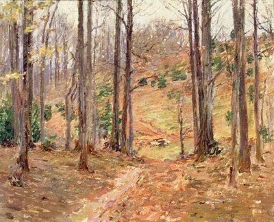 Virginia-Wälder, 1893 von Theodore Robinson
