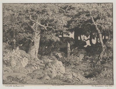Eichen und Felsen von Pierre Etienne Theodore Rousseau