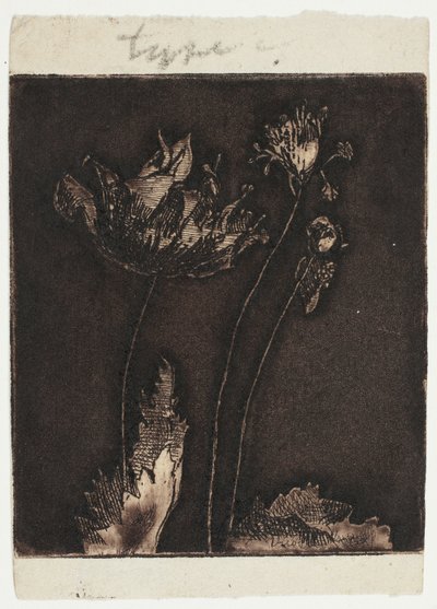 Letzte Mohnblumen von Theodore Roussel