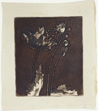 Letzte Mohnblumen von Theodore Roussel