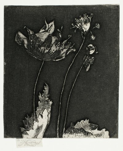 Letzte Mohnblumen von Theodore Roussel
