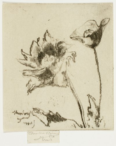 Zwei Blumen von Theodore Roussel