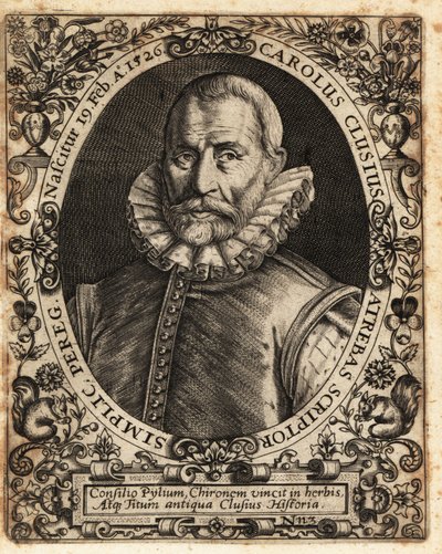 Charles de l’Ecluse, Arzt, Botaniker von Theodore de Bry