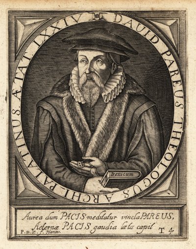 David Pareus von Theodore de Bry