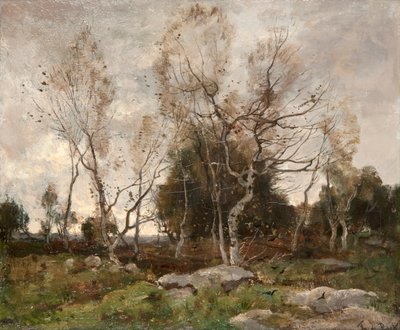 Landschaft von Theophile de Bock