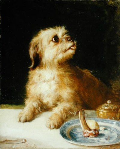 Norfolk Terrier von Thomas Earl