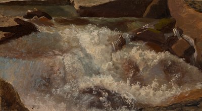 Wildwasser. Naturstudie von Thomas Fearnley