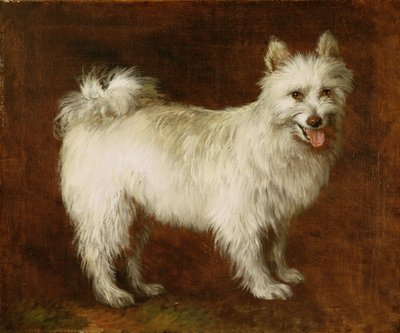 Spitzhund von Thomas Gainsborough