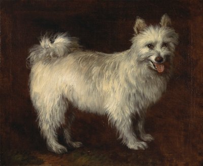 Spitzhund von Thomas Gainsborough RA