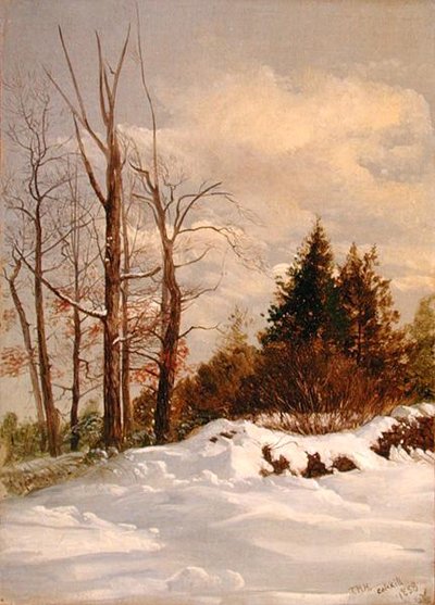 Catskill Winterlandschaft von Thomas Hiram Hotchkiss
