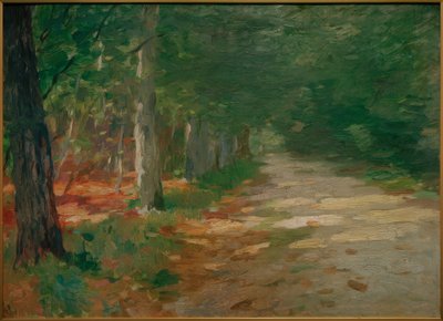 Waldweg mit Sonnenflecken von Thomas Ludwig Herbst