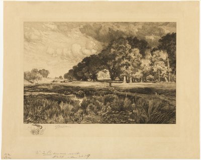 Landschaft von Long Island von Thomas Moran