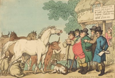 Versicherbare Rinder, veröffentlicht 1809 von Thomas Rowlandson
