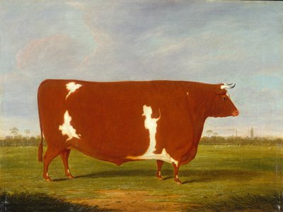 Ein Preisbulle in einer Landschaft von Thomas Weaver