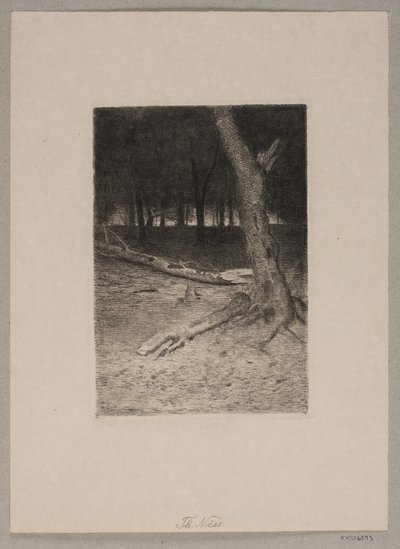 Waldinneres. Abend von Thorvald Niss