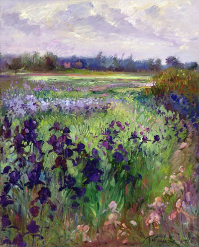 Über Great Green, Burgate von Timothy Easton