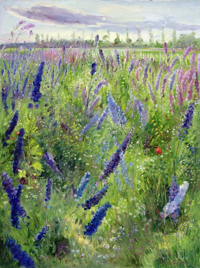 Rittersporn und aufgehende Sonne von Timothy Easton