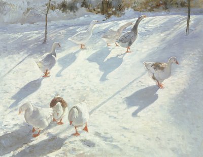 In zwei Richtungen von Timothy Easton