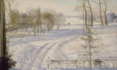 Teichhühner auf der Suche von Timothy Easton