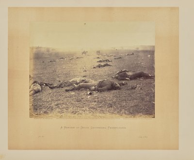 Eine Ernte des Todes, Gettysburg, Pennsylvania von Timothy H. OSullivan