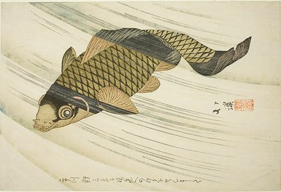 Karpfen schwimmt stromaufwärts von Totoya Hokkei