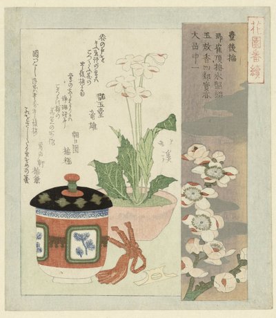 Stillleben mit blühender Primel von Totoya Hokkei