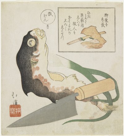 Kugelfisch, Lauch und Kochmesser von Toyota Hokkei