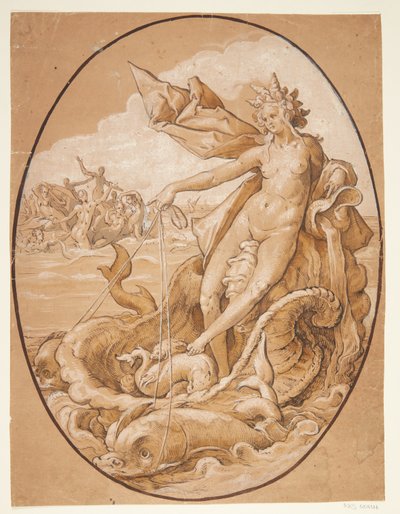 Venus Marina von Ubekendt Ubekendt
