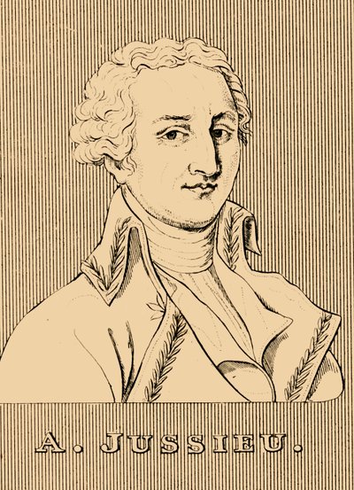 A. Jussieu, 1748-1836 von Unbekannt